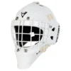 Victory V2 Junior Custom Goalie Mask