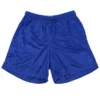 Alleson 580PY Youth Nylon Mesh Shorts
